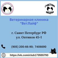 Сертификат отделения Оптиков 45к1