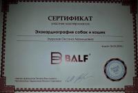 Сертификат сотрудника Згурская О.Л.