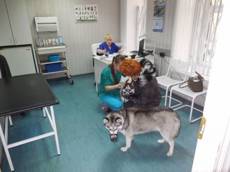 Фотография Невская ветеринарная лечебница 3