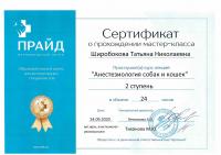 Сертификат отделения Просвещения 53к1