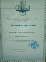 Сертификат сотрудника Иванова А.Е.