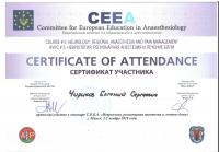 Сертификат сотрудника Чириков Е.С.