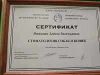 Сертификат отделения Доблести 7к2
