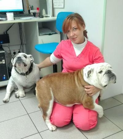 Фотография Городской ветеринарный лечебно-диагностический центр N1 0
