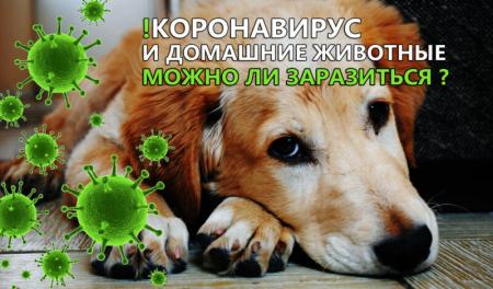 Фотография Ветеринарная клиника Фрунзенского района 3