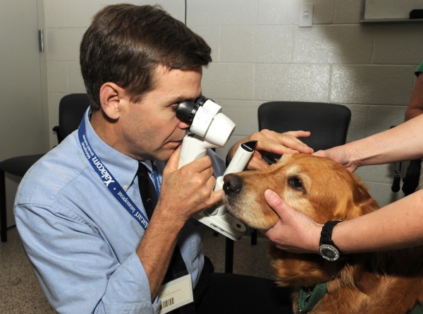 Лечение глаз у собаки в спб thumbnail