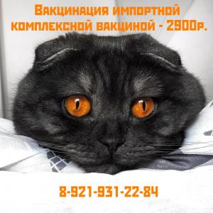 Фотография Ветеринарная клиника доктора И.Н. Киселева 1